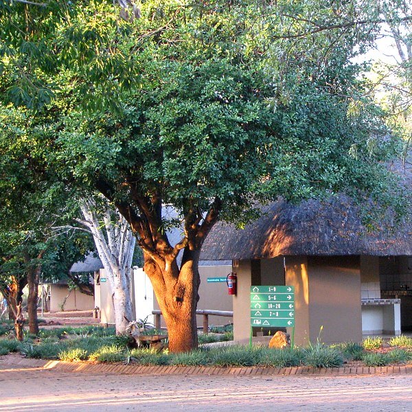 Crocodile Bridge Camp Ground