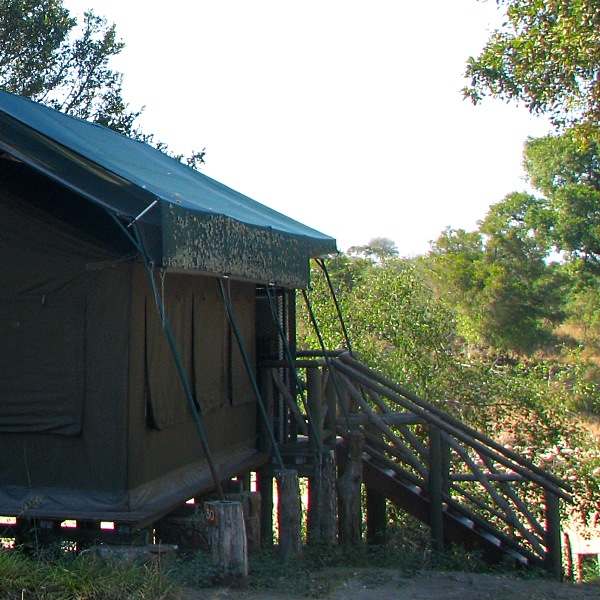 Tamboti Tent